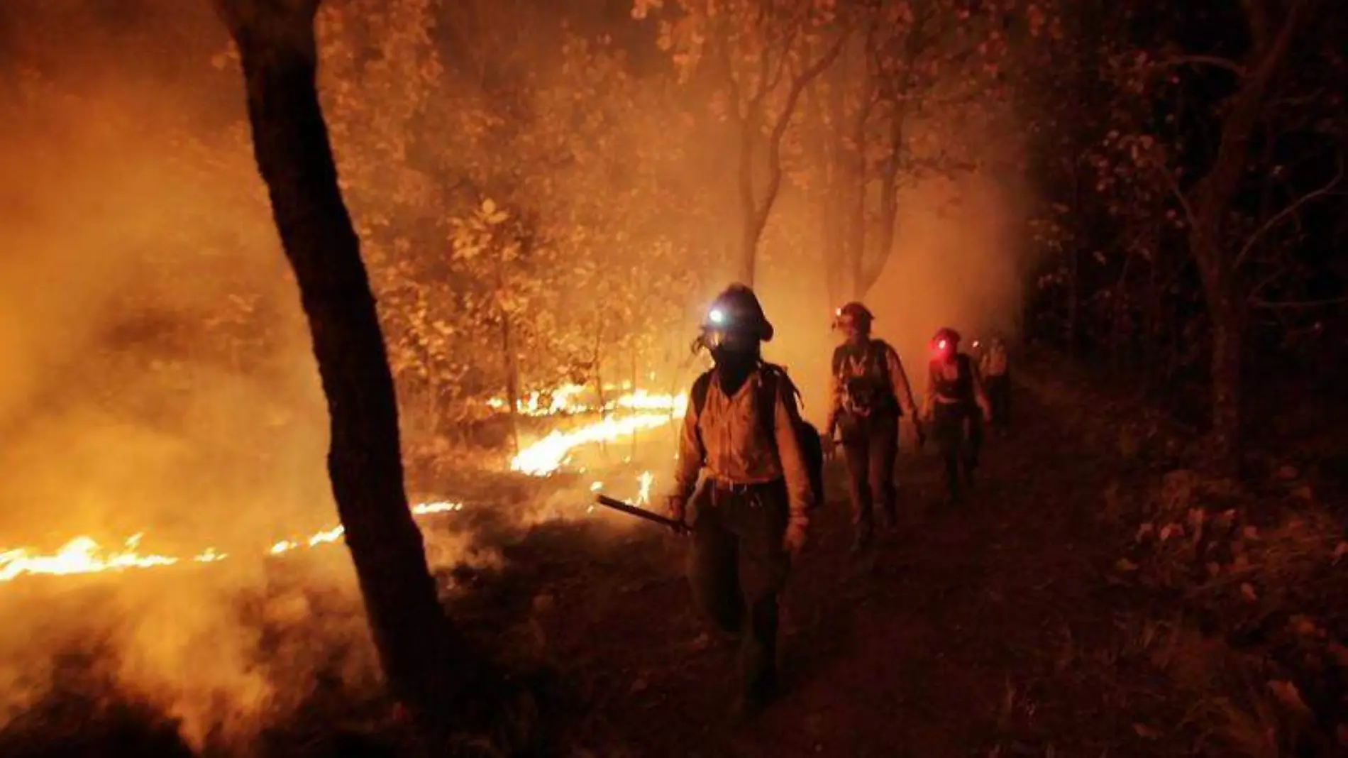 Incendio-Bosque de la primavera